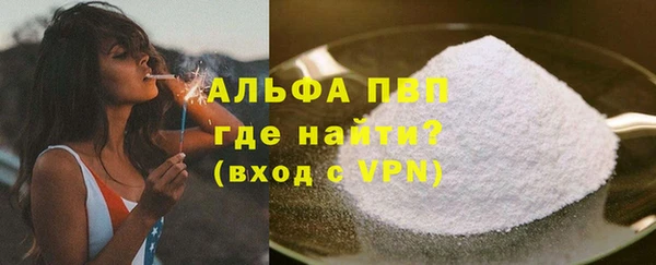 шишки Карпинск