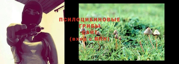 наркотики Каменногорск