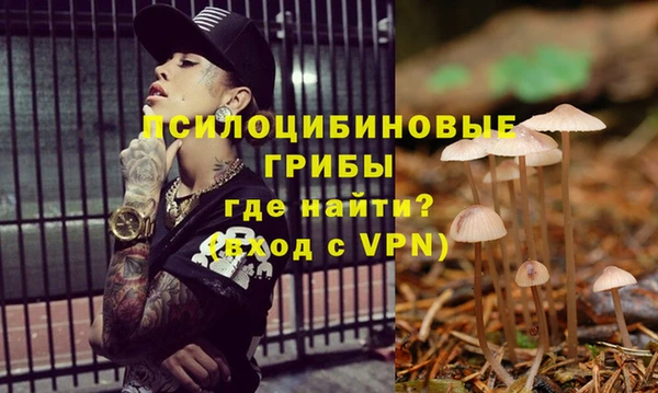 не бодяженный Каменка