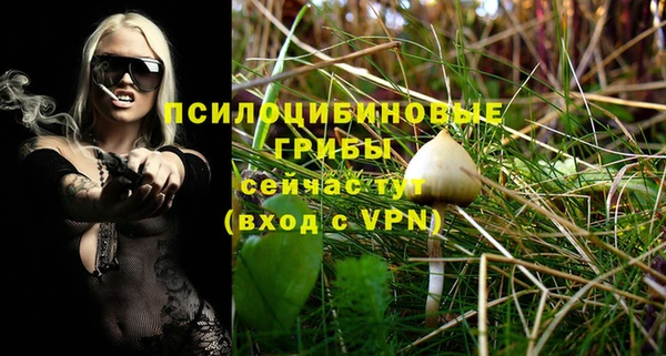 не бодяженный Каменка