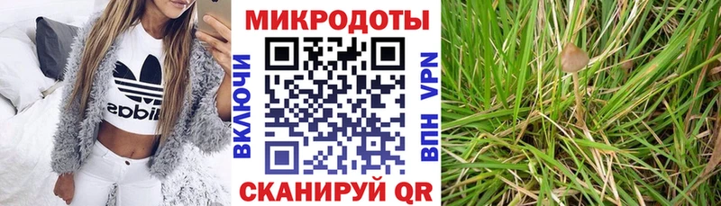 Галлюциногенные грибы Cubensis  Купить закладки  Кукмор 
